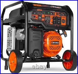 WEN 8,000-W Portable RV Ready Dual Fuel Generator with Electric Start, CO Sensor